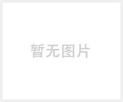 6120枕式包装机